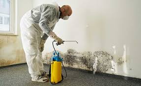 Mold Remediation for Rental Properties in Hennessey, OK